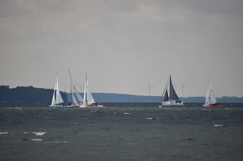 1688713611.jpg