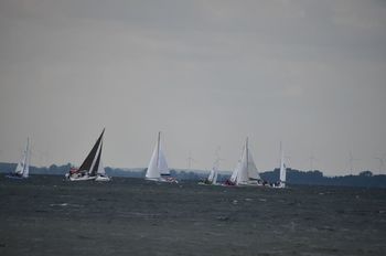 1688713614.jpg