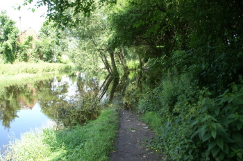 DSC06991.JPG