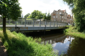 DSC07000.JPG