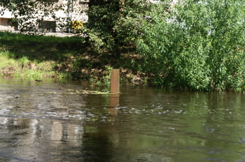 DSC07578.JPG