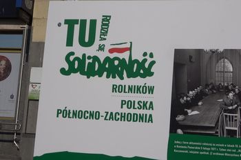 1619070853.JPG
